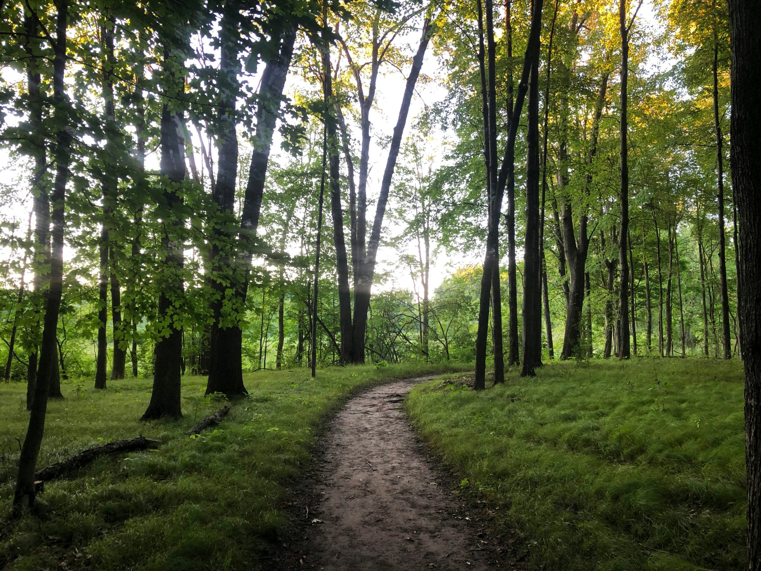 29 settembre: Camminata nel bosco con Raffaella